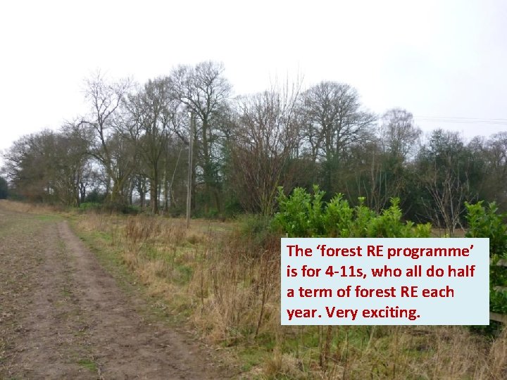 The ‘forest RE programme’ is for 4 -11 s, who all do half a