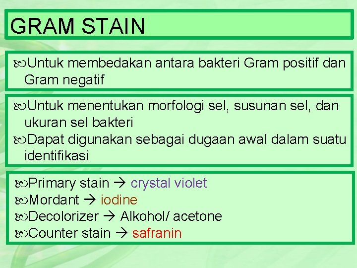 GRAM STAIN Untuk membedakan antara bakteri Gram positif dan Gram negatif Untuk menentukan morfologi