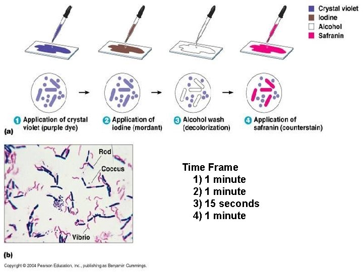 Time Frame 1) 1 minute 2) 1 minute 3) 15 seconds 4) 1 minute