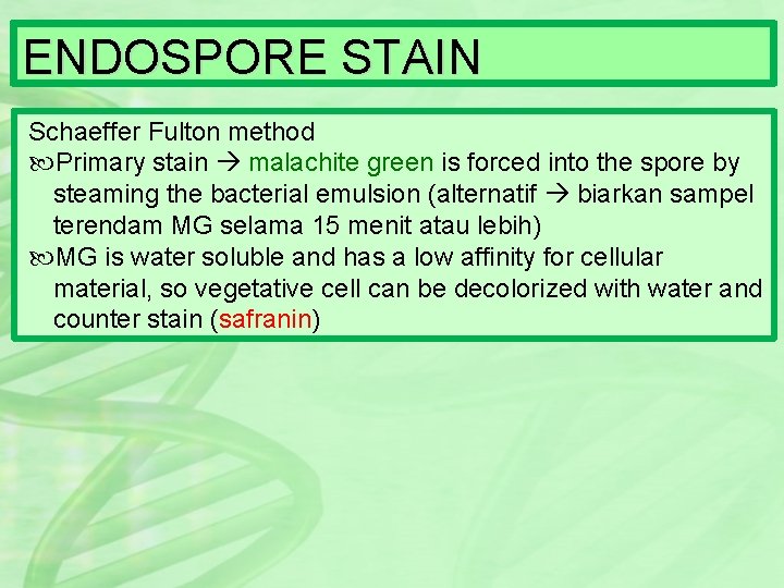 ENDOSPORE STAIN Schaeffer Fulton method Primary stain malachite green is forced into the spore