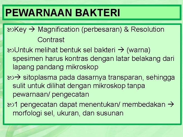 PEWARNAAN BAKTERI Key Magnification (perbesaran) & Resolution Contrast Untuk melihat bentuk sel bakteri (warna)
