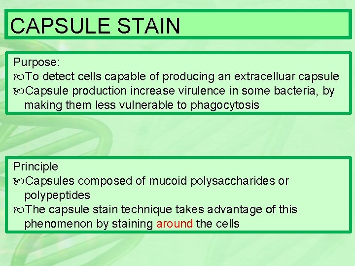 CAPSULE STAIN Purpose: To detect cells capable of producing an extracelluar capsule Capsule production