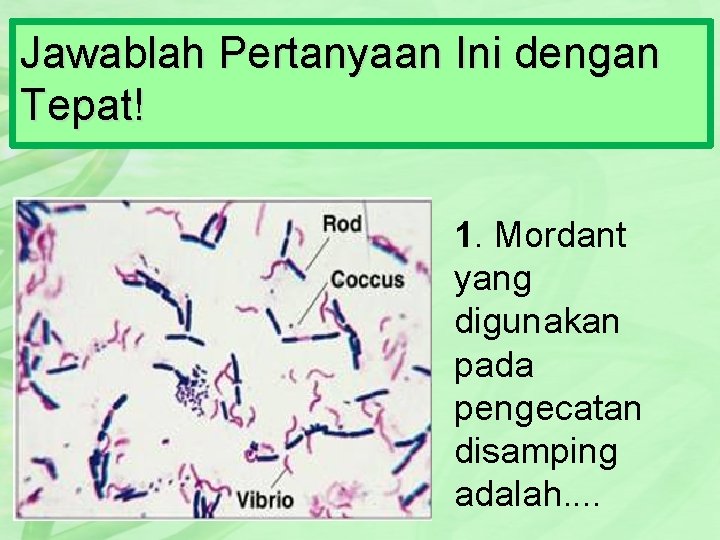 Jawablah Pertanyaan Ini dengan Tepat! 1. Mordant yang digunakan pada pengecatan disamping adalah. .