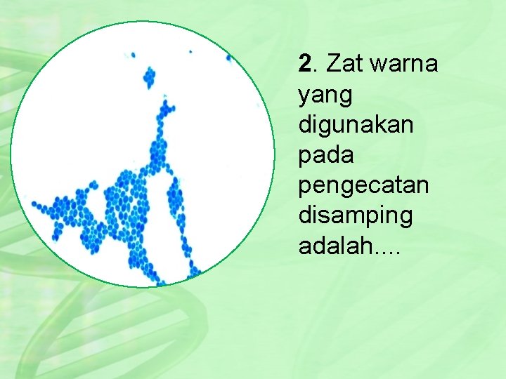 2. Zat warna yang digunakan pada pengecatan disamping adalah. . 