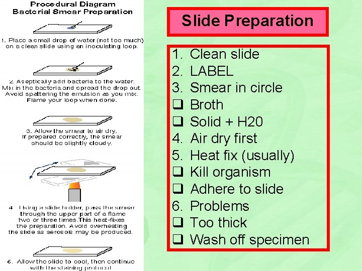 Slide Preparation 1. 2. 3. q q 4. 5. q q 6. q q