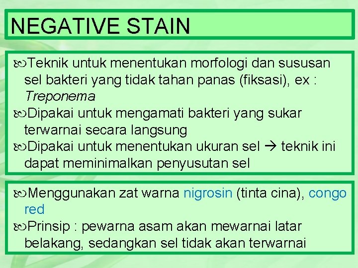 NEGATIVE STAIN Teknik untuk menentukan morfologi dan sususan sel bakteri yang tidak tahan panas
