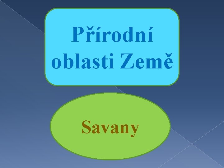 Přírodní oblasti Země Savany 