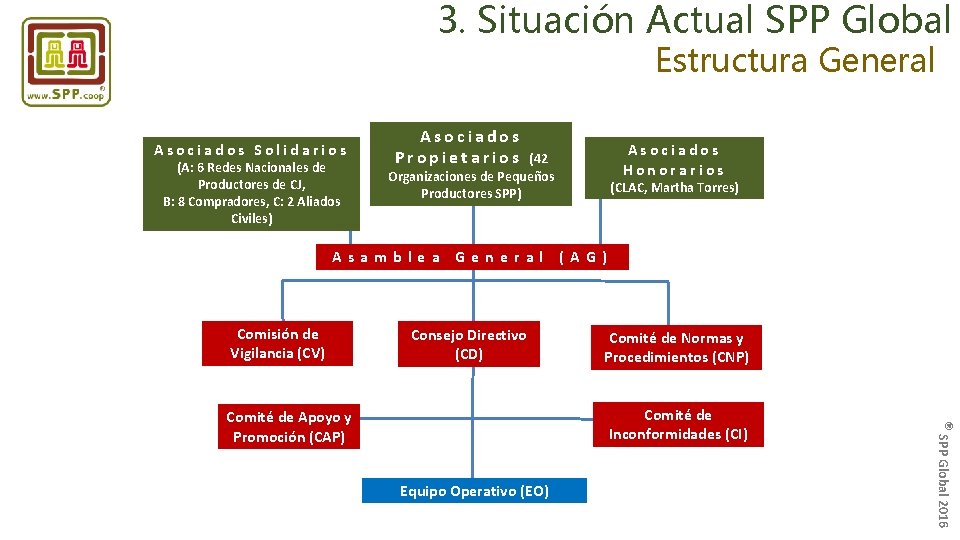 3. Situación Actual SPP Global Estructura General Asociados Solidarios (A: 6 Redes Nacionales de