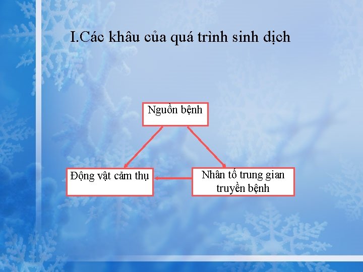 I. Các khâu của quá trình sinh dịch Nguồn bệnh Động vật cảm thụ