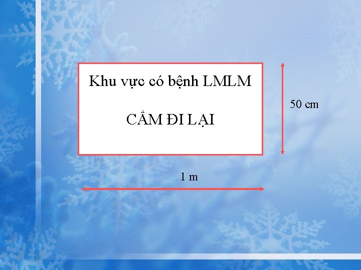 Khu vực có bệnh LMLM CẤM ĐI LẠI 1 m 50 cm 