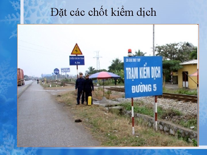 Đặt các chốt kiểm dịch 