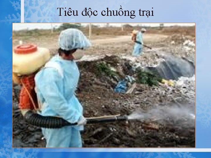 Tiêu độc chuồng trại 