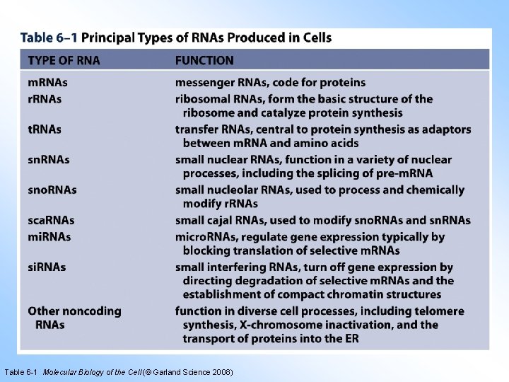 Table 6 -1 Molecular Biology of the Cell (© Garland Science 2008) 