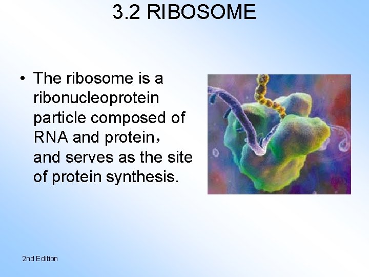 3. 2 RIBOSOME • The ribosome is a ribonucleoprotein particle composed of RNA and
