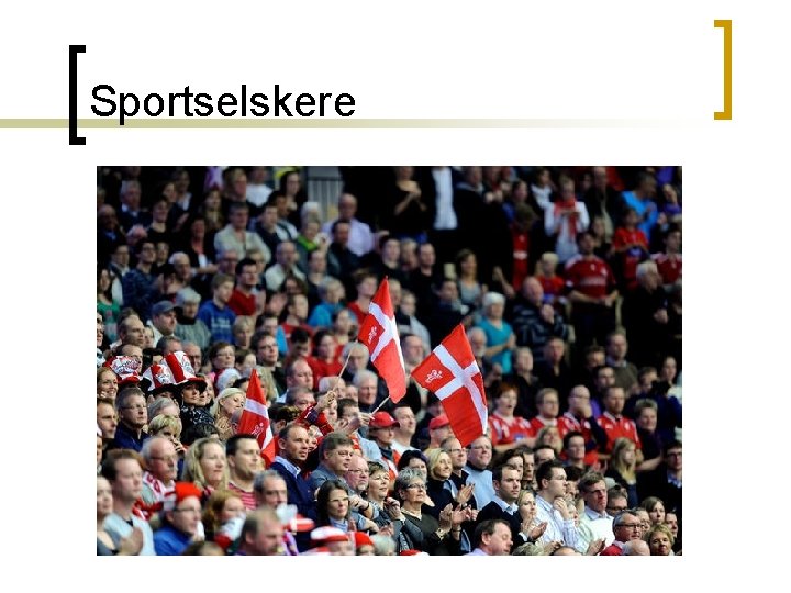 Sportselskere 