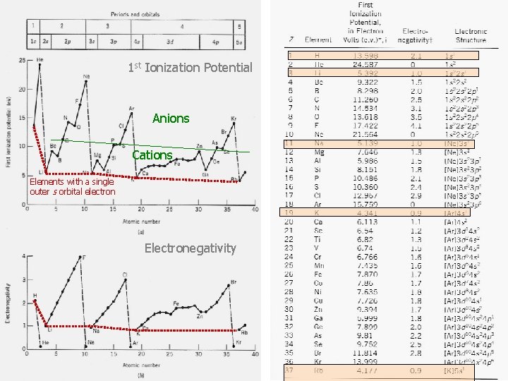 1 st Ionization Potential Anions Cations Elements with a single outer s orbital electron