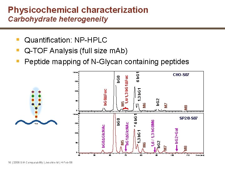 Physicochemical characterization Carbohydrate heterogeneity M 8 b. G 2 M 7 b. G 2+Gal