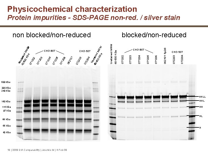 Physicochemical characterization Protein impurities - SDS-PAGE non-red. / silver stain 072204 CHOCHO-S 07 072203