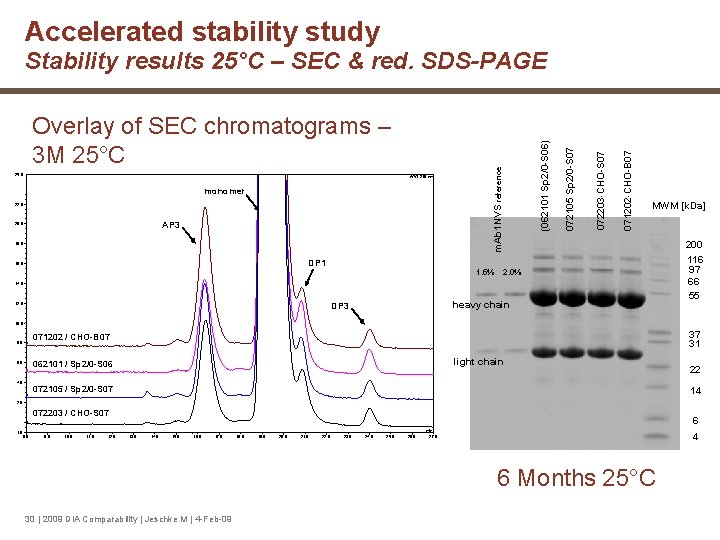 Accelerated stability study AP 3 20. 0 18. 0 DP 1 16. 0 1.