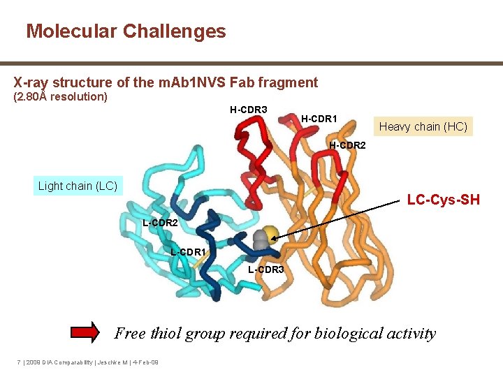 Molecular Challenges X-ray structure of the m. Ab 1 NVS Fab fragment (2. 80Å
