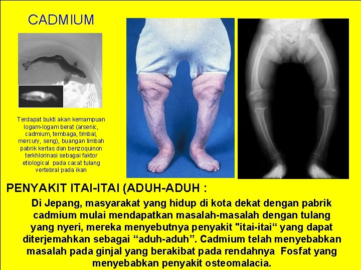 CADMIUM Terdapat bukti akan kemampuan logam-logam berat (arsenic, cadmium, tembaga, timbal, mercury, seng), buangan