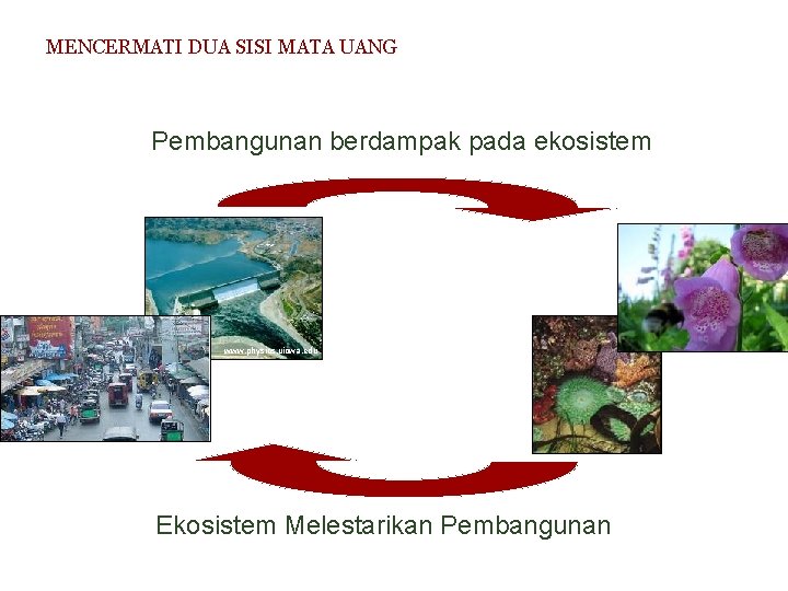 MENCERMATI DUA SISI MATA UANG Pembangunan berdampak pada ekosistem www. physics. uiowa. edu Ekosistem