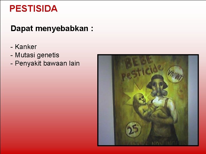 PESTISIDA Dapat menyebabkan : - Kanker - Mutasi genetis - Penyakit bawaan lain 