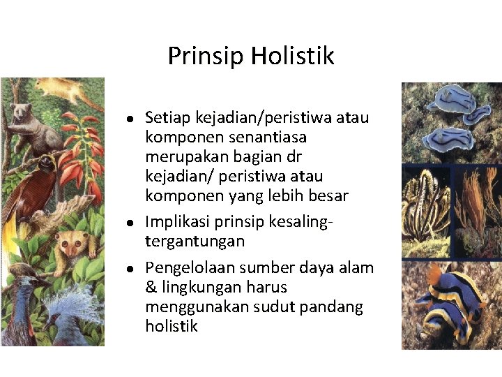 Prinsip Holistik l l l Setiap kejadian/peristiwa atau komponen senantiasa merupakan bagian dr kejadian/