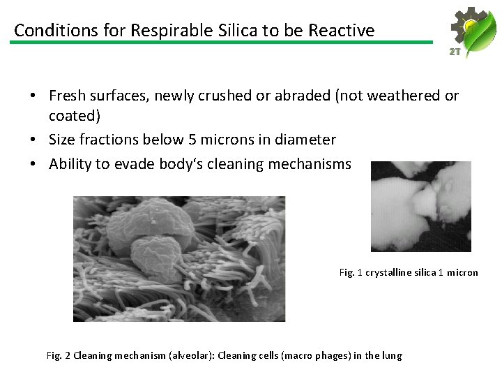 Conditions for Respirable Silica to be Reactive 2 T • Fresh surfaces, newly crushed