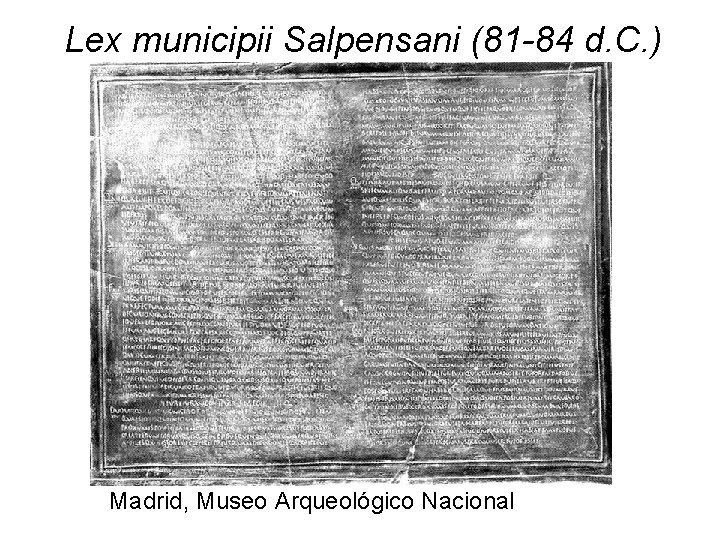 Lex municipii Salpensani (81 -84 d. C. ) Madrid, Museo Arqueológico Nacional 