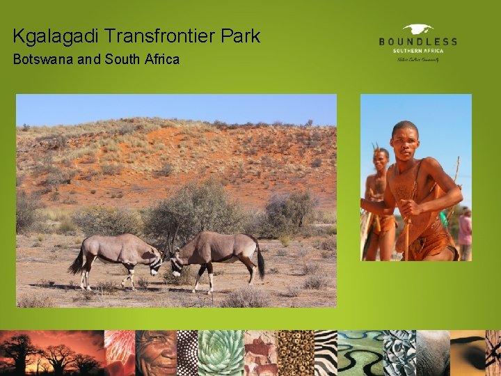 Kgalagadi Transfrontier Park Botswana and South Africa 