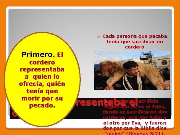  Cada persona que pecaba tenía que sacrificar un cordero Primero. El cordero representaba