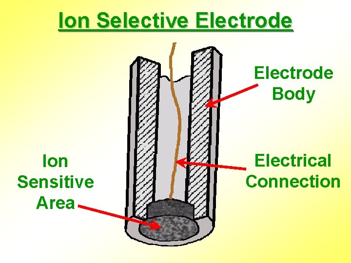 Ion Selective Electrode Body Ion Sensitive Area Electrical Connection 