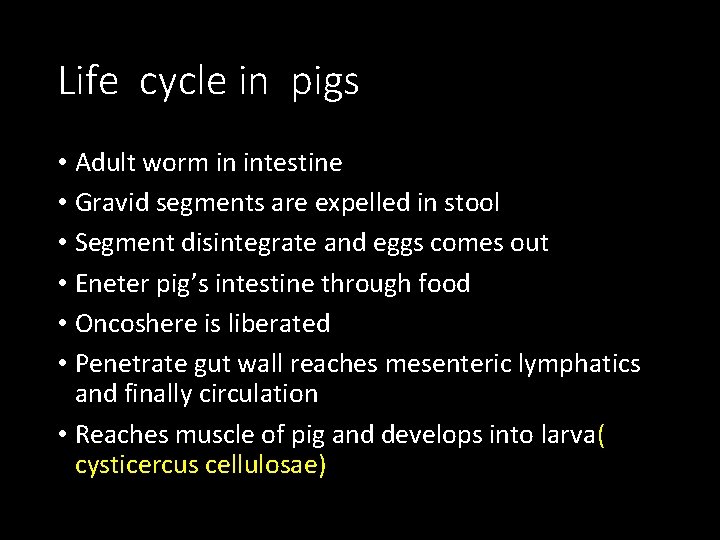 Life cycle in pigs • Adult worm in intestine • Gravid segments are expelled