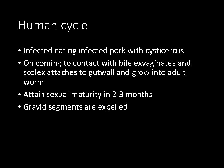 Human cycle • Infected eating infected pork with cysticercus • On coming to contact
