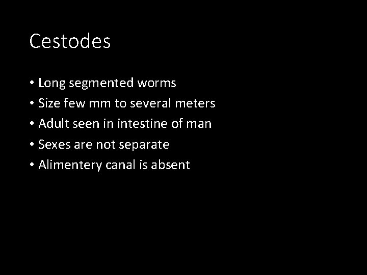 Cestodes • Long segmented worms • Size few mm to several meters • Adult
