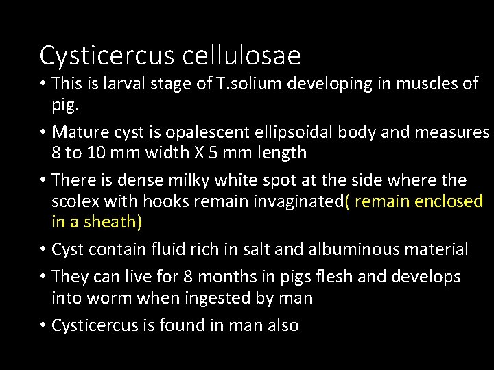 Cysticercus cellulosae • This is larval stage of T. solium developing in muscles of