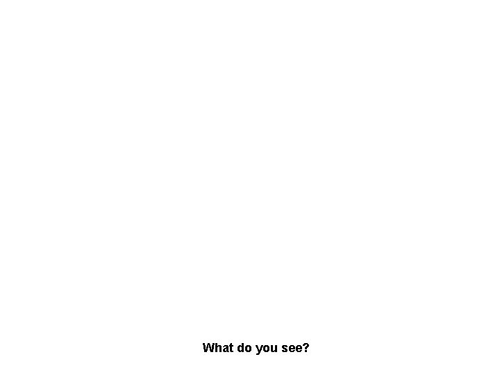 What do you see? 