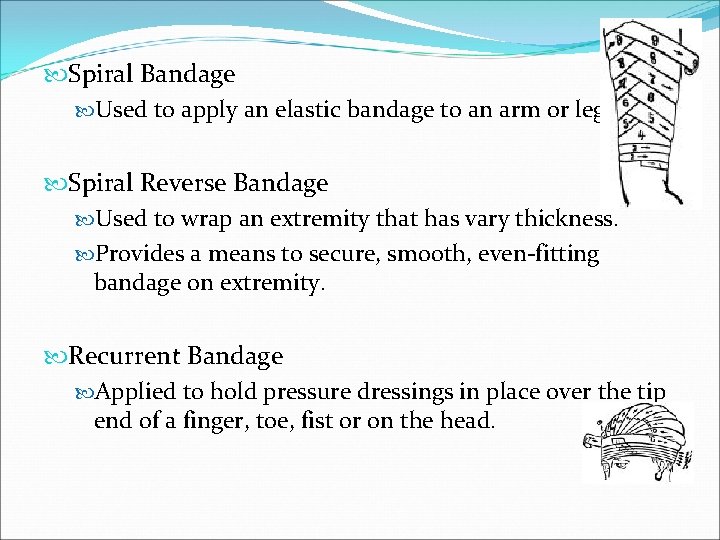  Spiral Bandage Used to apply an elastic bandage to an arm or leg