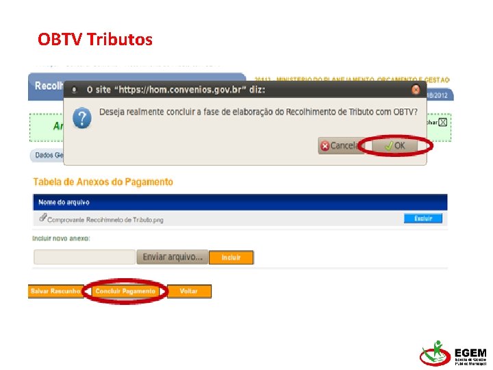 OBTV Tributos 