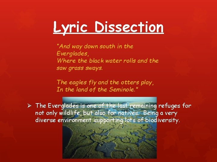 Lyric Dissection “And way down south in the Everglades, Where the black water rolls
