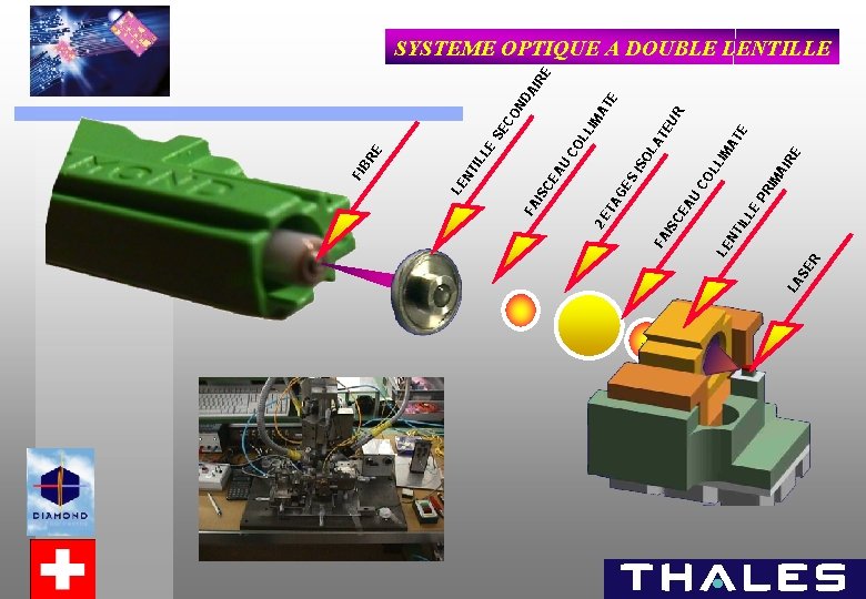 R LA SE IL L NT LE RE AI IM AT OL R EU