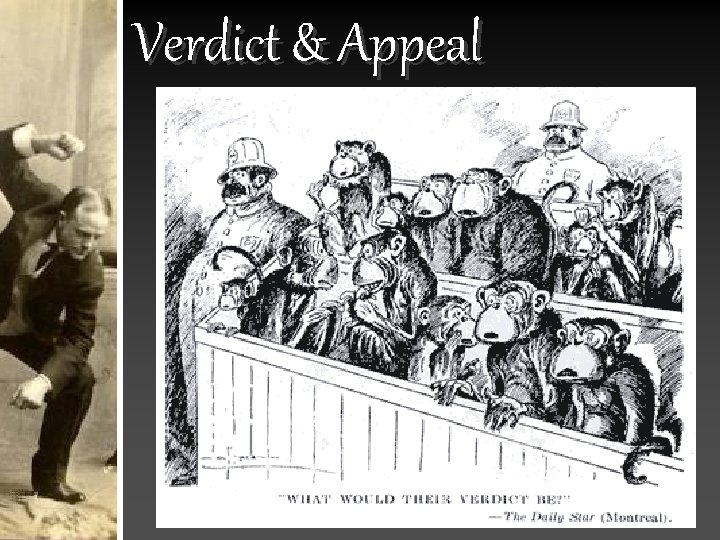 Verdict & Appeal 