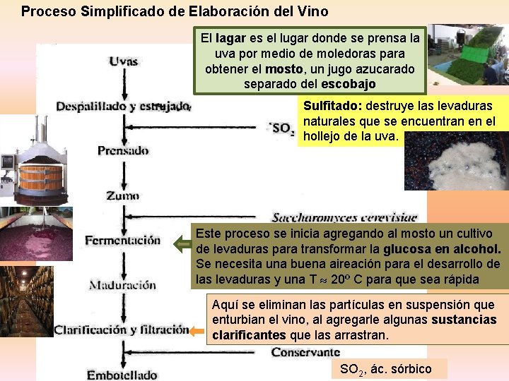 Proceso Simplificado de Elaboración del Vino El lagar es el lugar donde se prensa