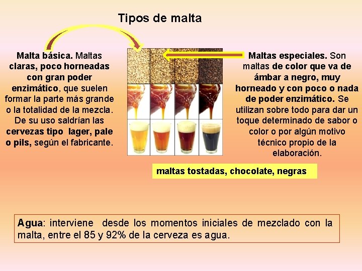 Tipos de malta Malta básica. Maltas claras, poco horneadas con gran poder enzimático, que