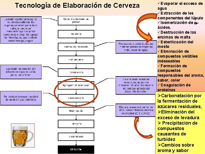 Tecnología de Elaboración de Cerveza üEvaporar el exceso de agua üExtracción de los componentes