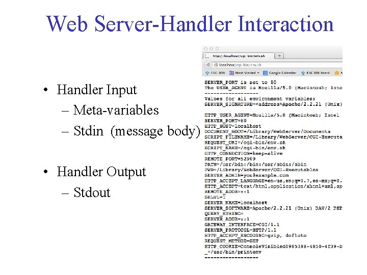 Web Server-Handler Interaction • Handler Input – Meta-variables – Stdin (message body) • Handler Web Server-Handler Interaction • Handler Input – Meta-variables – Stdin (message body) • Handler