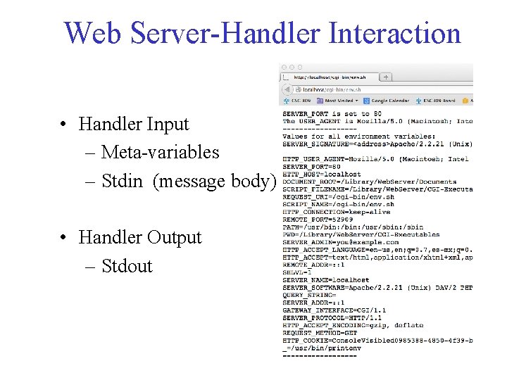 Web Server-Handler Interaction • Handler Input – Meta-variables – Stdin (message body) • Handler