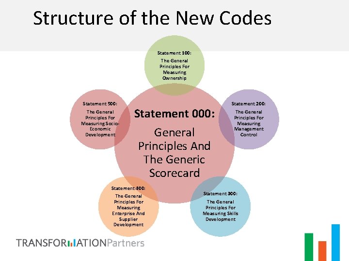 Structure of the New Codes Statement 100: The General Principles For Measuring Ownership Statement