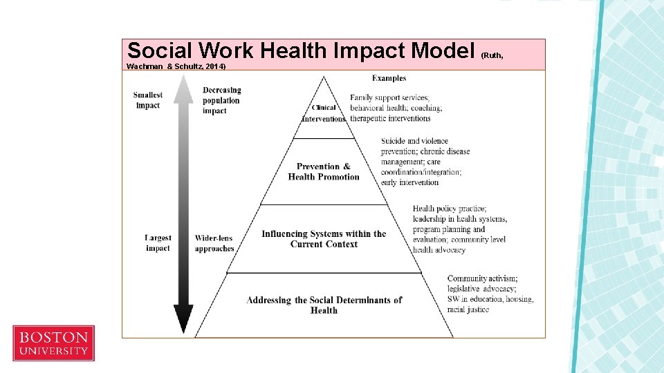 Social Work Health Impact Model Wachman & Schultz, 2014) (Ruth, 